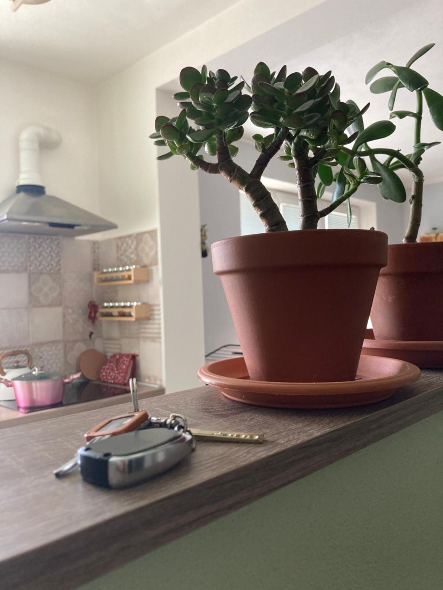 Repose Residence Liptovský Mikuláš Εξωτερικό φωτογραφία